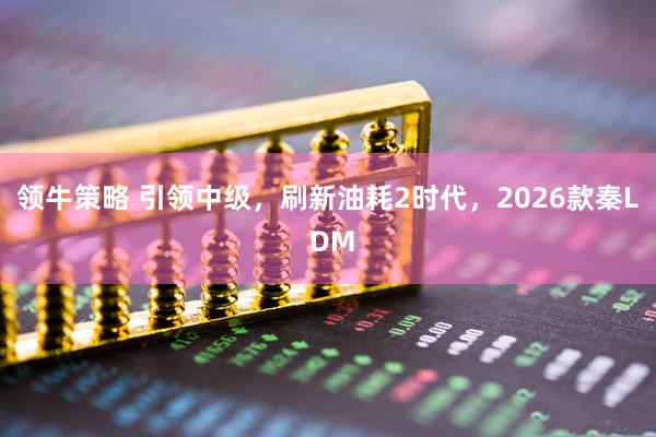 领牛策略 引领中级，刷新油耗2时代，2026款秦L DM